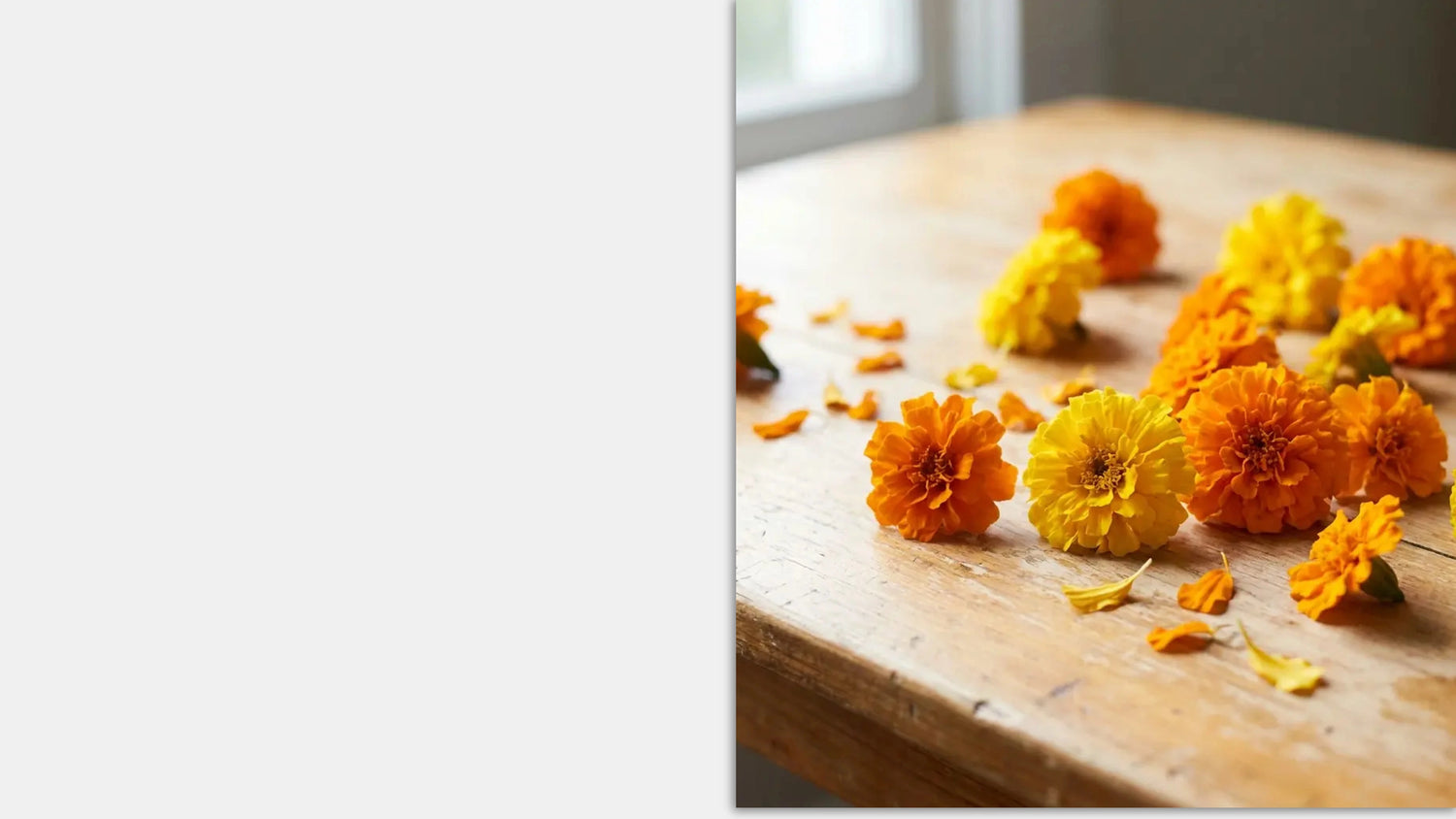 Orange and yellow marigold flowers on a wooden surface with a blurred background