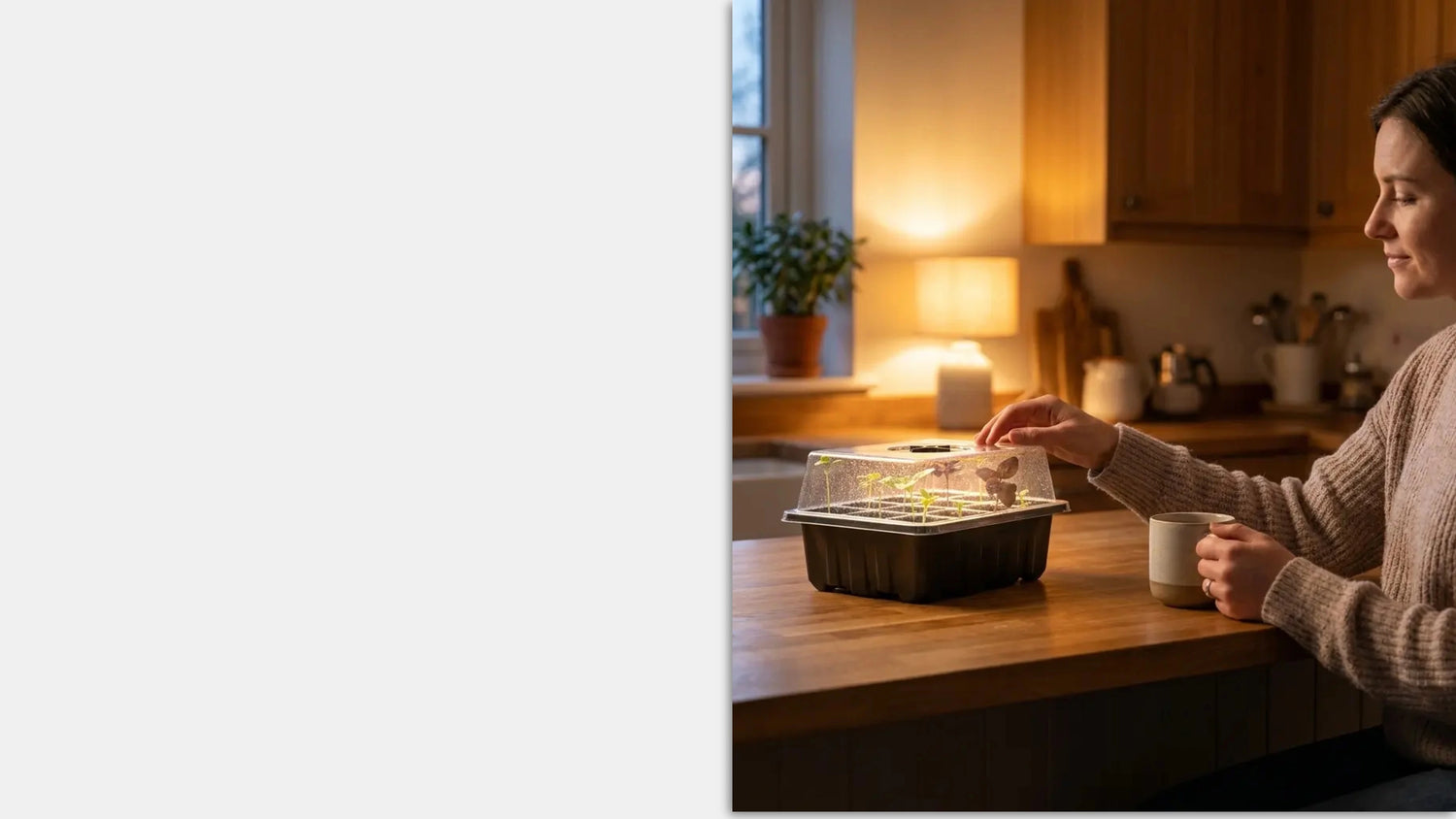 Indoor seed starter kit on kitchen counter with person relaxing and checking plant growth in the seed starter.