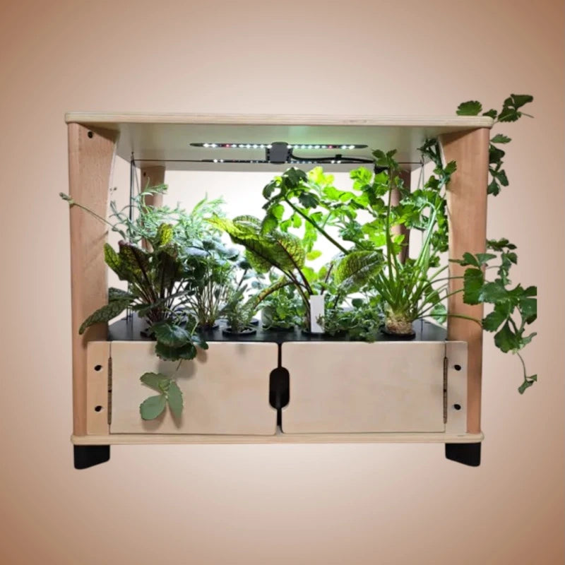 Wooden indoor garden with plants and a light on a light brown background