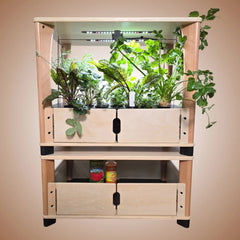 Wooden indoor gardening system with plants and storage on a light brown background.