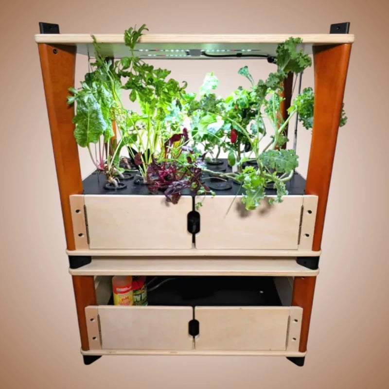 Hydroponic gardening system with plants on a light brown background.