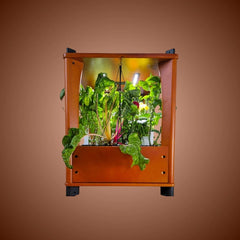 Side of ooden indoor garden with plants and grow lights