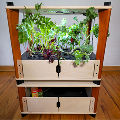Wooden indoor garden with plants on a wooden floor.