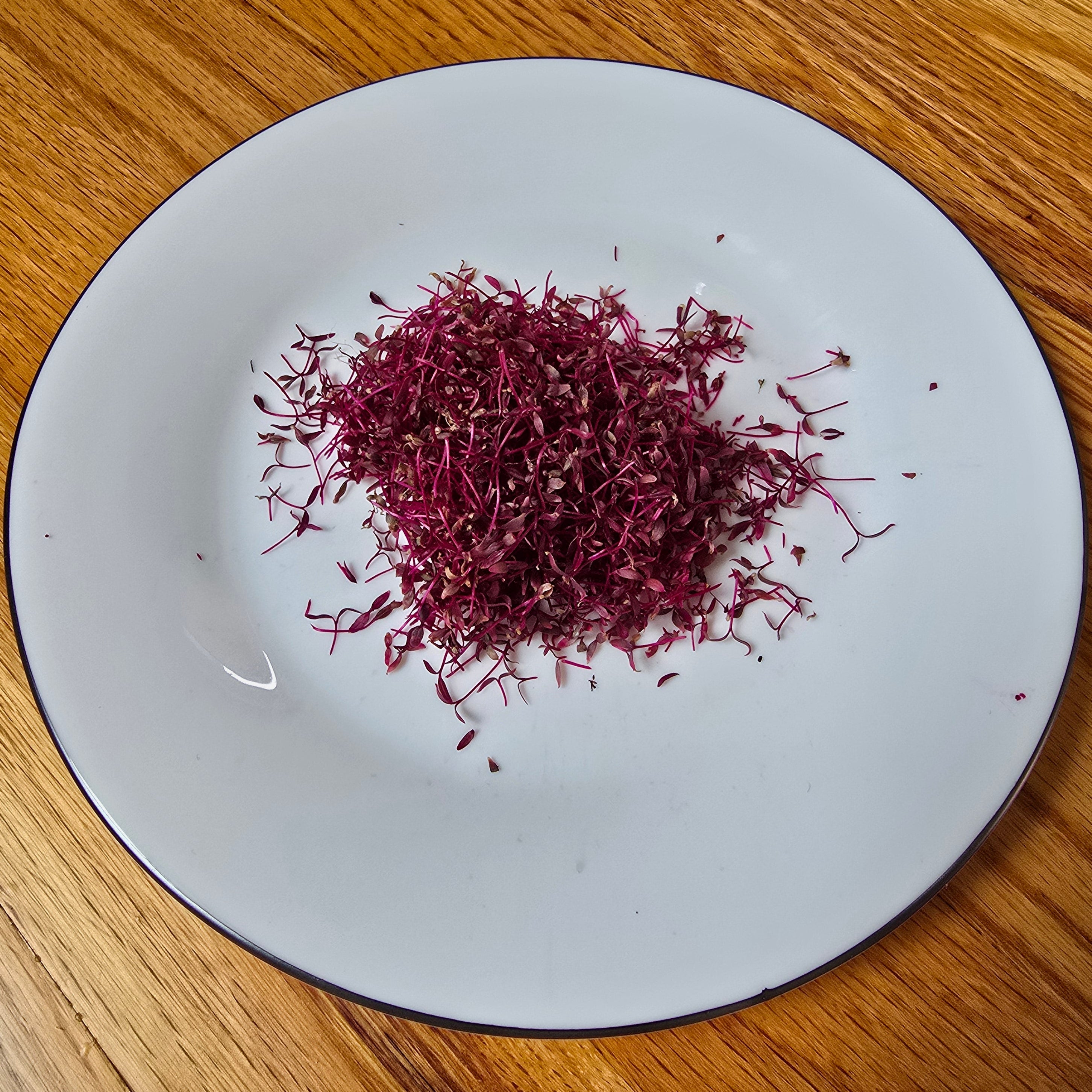 White plate with red amaranth microgreens on a wooden surface