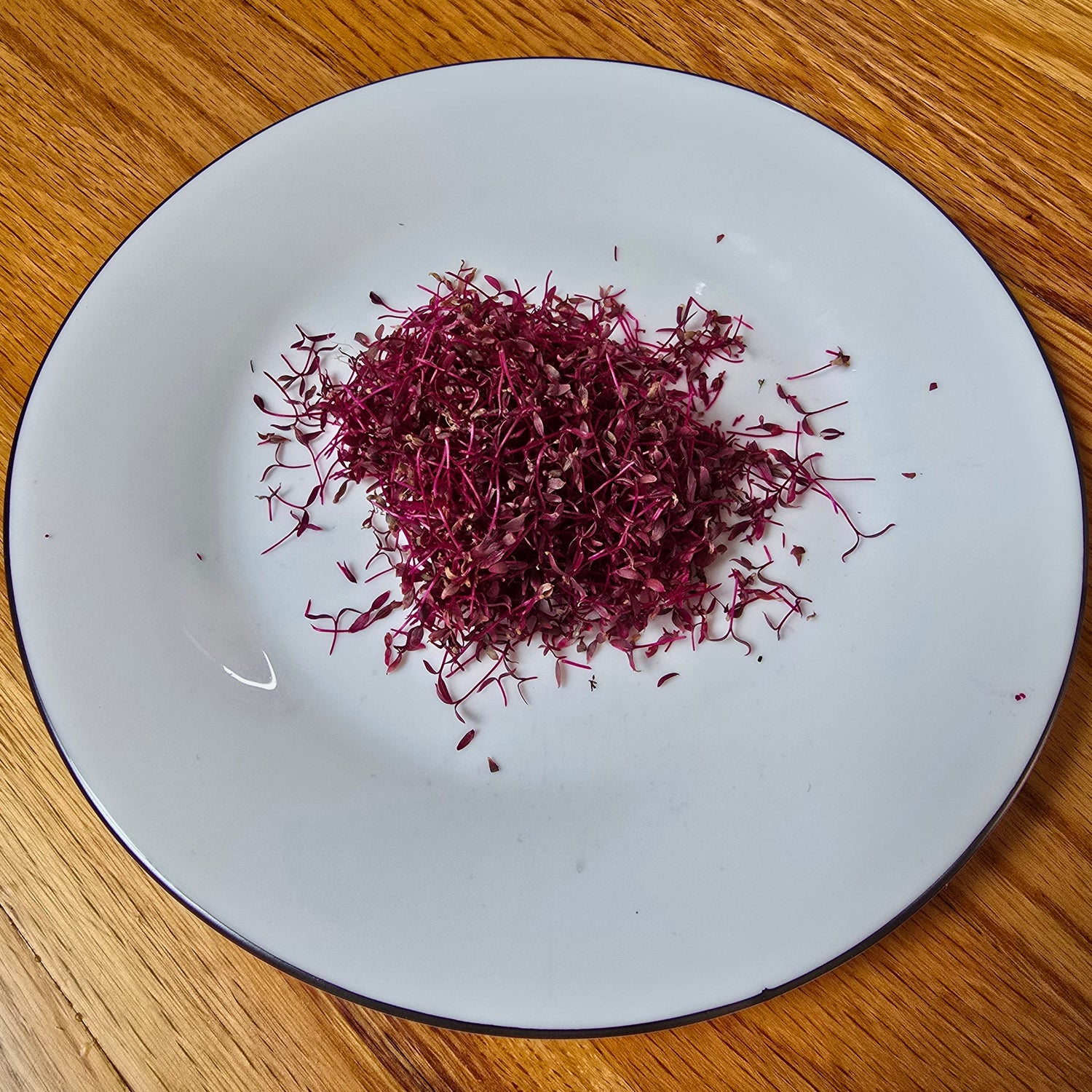 White plate with red amaranth microgreens on a wooden surface