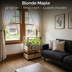Blonde Maple hydroponic farm by a sofa in a living room. 22"×15"×30", About 2 sq ft, 24 plants included.