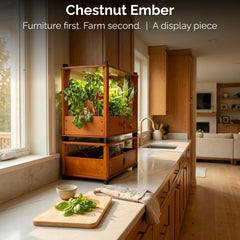Chestnut Ember hydroponic farm on a kitchen counter by a window. Furniture first. Farm second. A display piece.