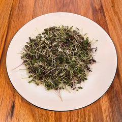 Microgreens on a white plate on a wooden surface