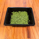 Black tray with lemon basil microgreens on a wooden surface