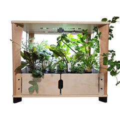 Wooden indoor garden with plants and a light on a white background