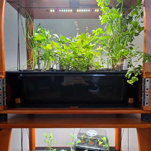 hydroponic 13L water tank replacement reservoir designed for indoor hydroponic home farm systems1