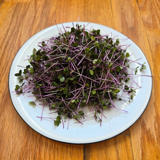 Harvested kohlrabi microgreens on a plate and wooden surface