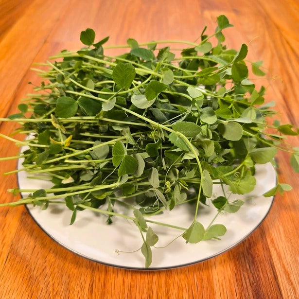 Bunch of fresh green microgreens on a white plate with a wooden background