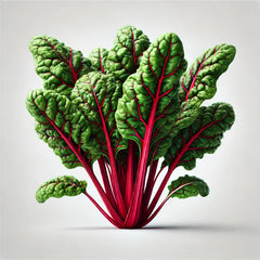 A fresh bunch of Chard with vibrant green leaves and red stems against a grey background.
