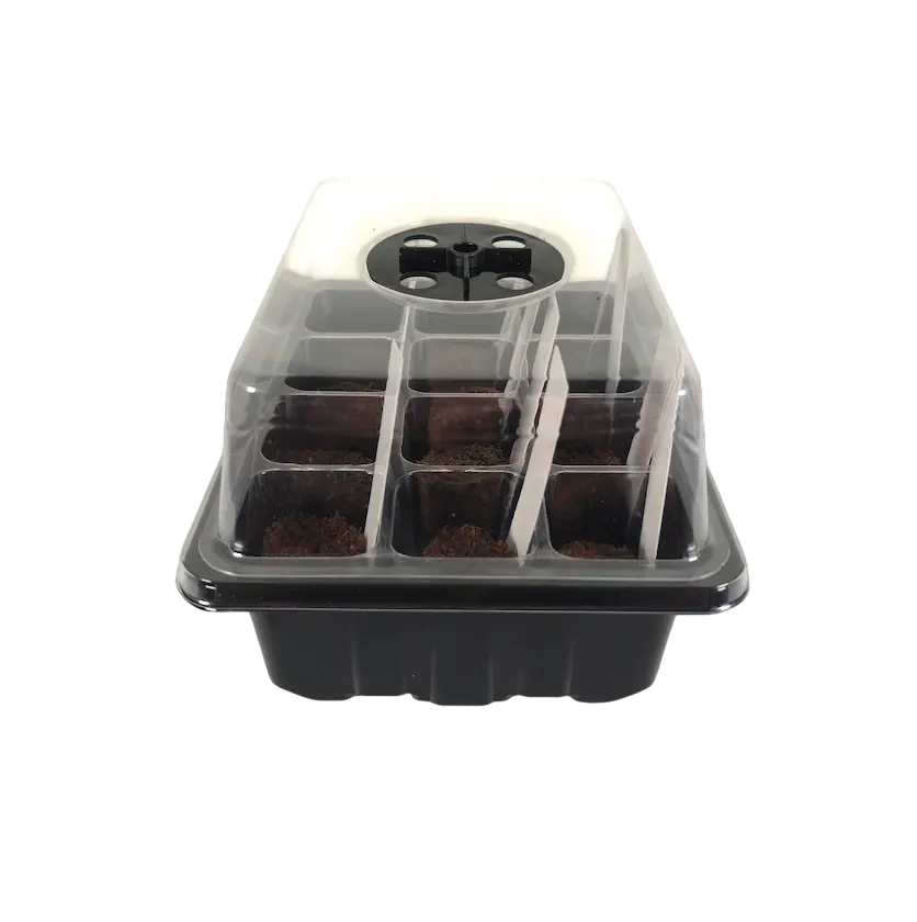 Seed starter kit tray with dome showing grow cells and planting medium
