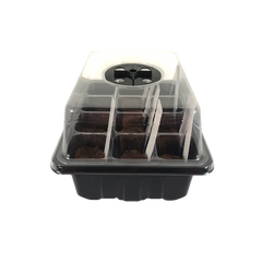 Seed starter kit tray with dome showing grow cells and planting medium