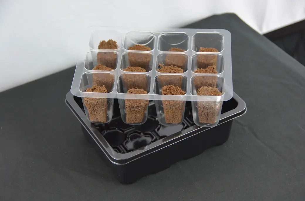 Seed starter tray cell insert with individual planting compartments for seed germination and seedlings