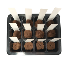 Seed starter tray top view with grow medium pods and plant markers
